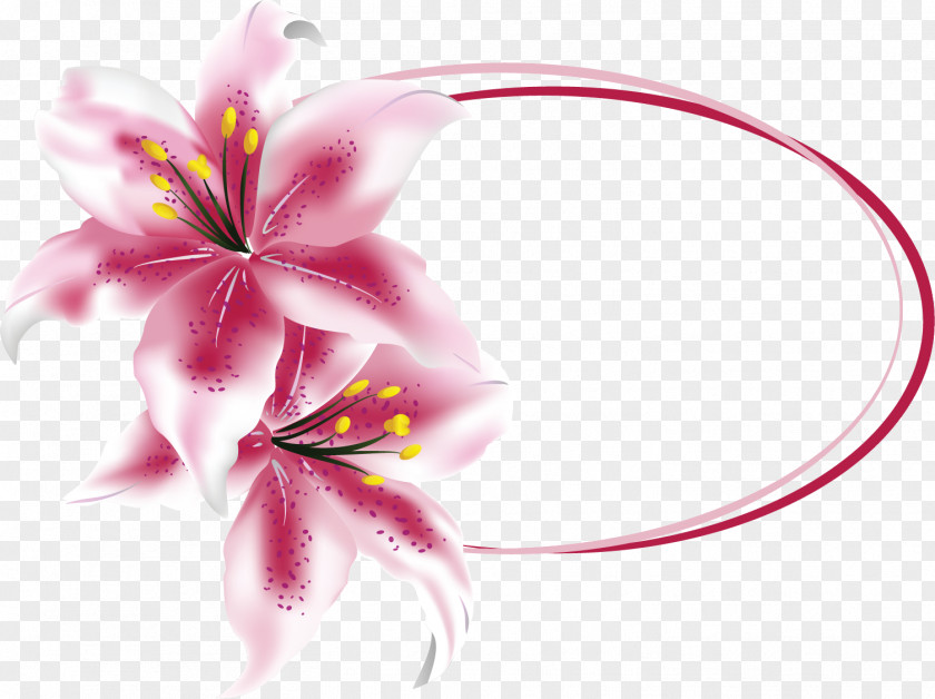 Lily Oval Frame PNG