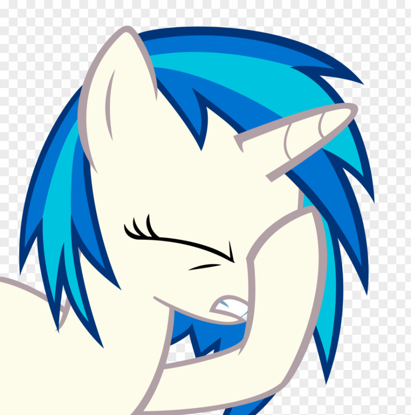 Vinyl Snowman Face Fluttershy Pony Rainbow Dash Image Internet Forum PNG