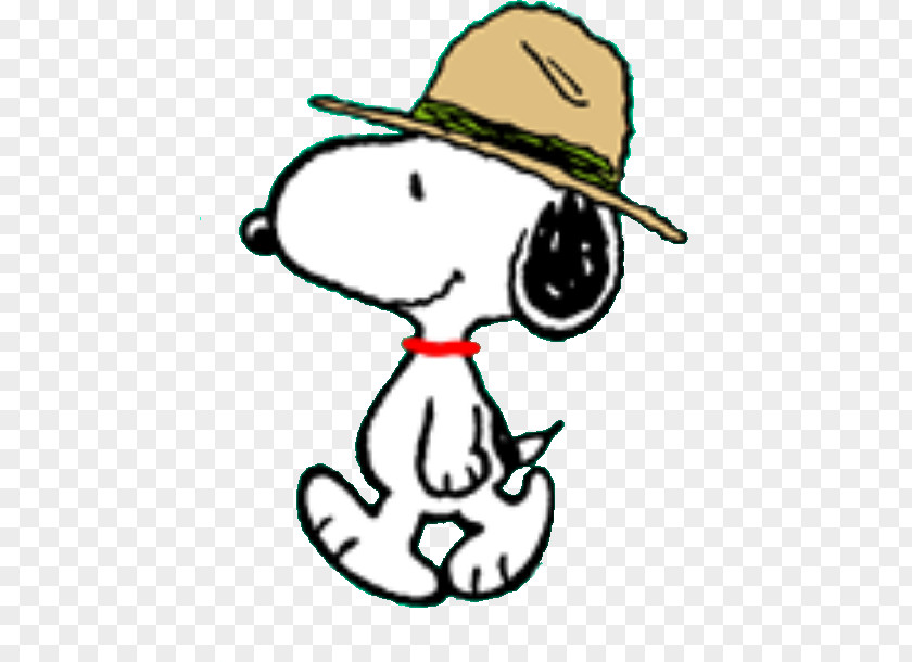 Charlie Brown Baseball Snoopy Woodstock Beagle Peanuts PNG