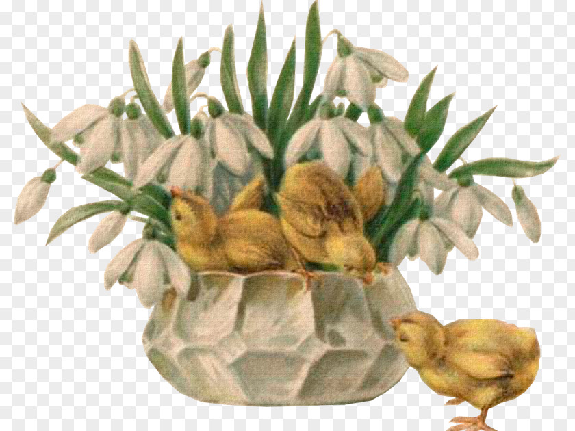 Easter Eggs Nest Flowerpot Fruit Vegetable Grasses PNG