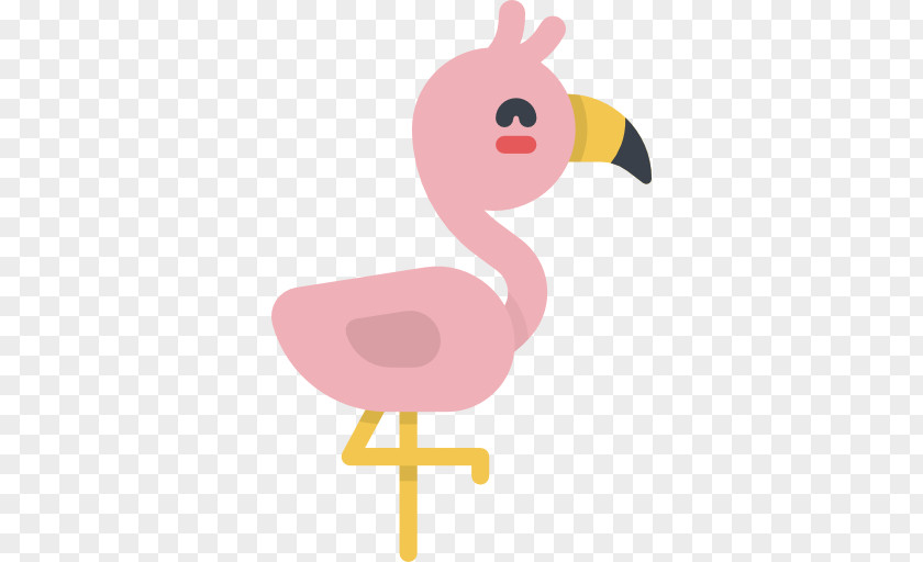 Flamingos Vector PNG