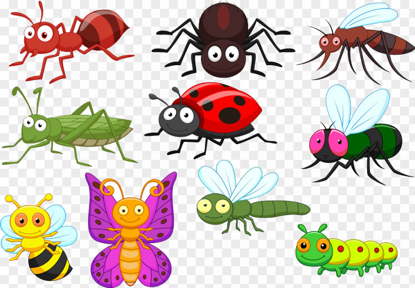 Insect World Beetle Cartoon Illustration PNG