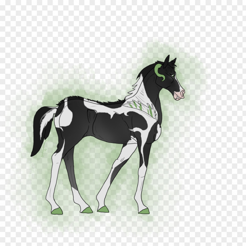 Mustang Foal Stallion Colt Mare PNG