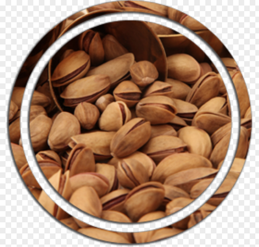 Pistachio Nut Commodity PNG