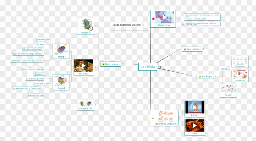 Eso Concept Map Biology Cell Tissue Organelle PNG