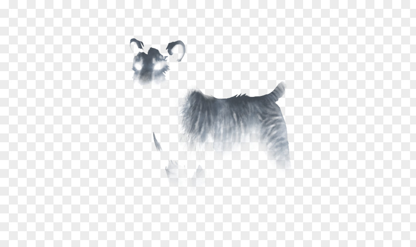 Male Lion Dog Breed White House Whiskers Graphics Logo PNG