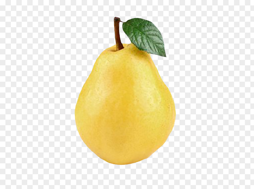Pear With Leaves Citron Lemon PNG