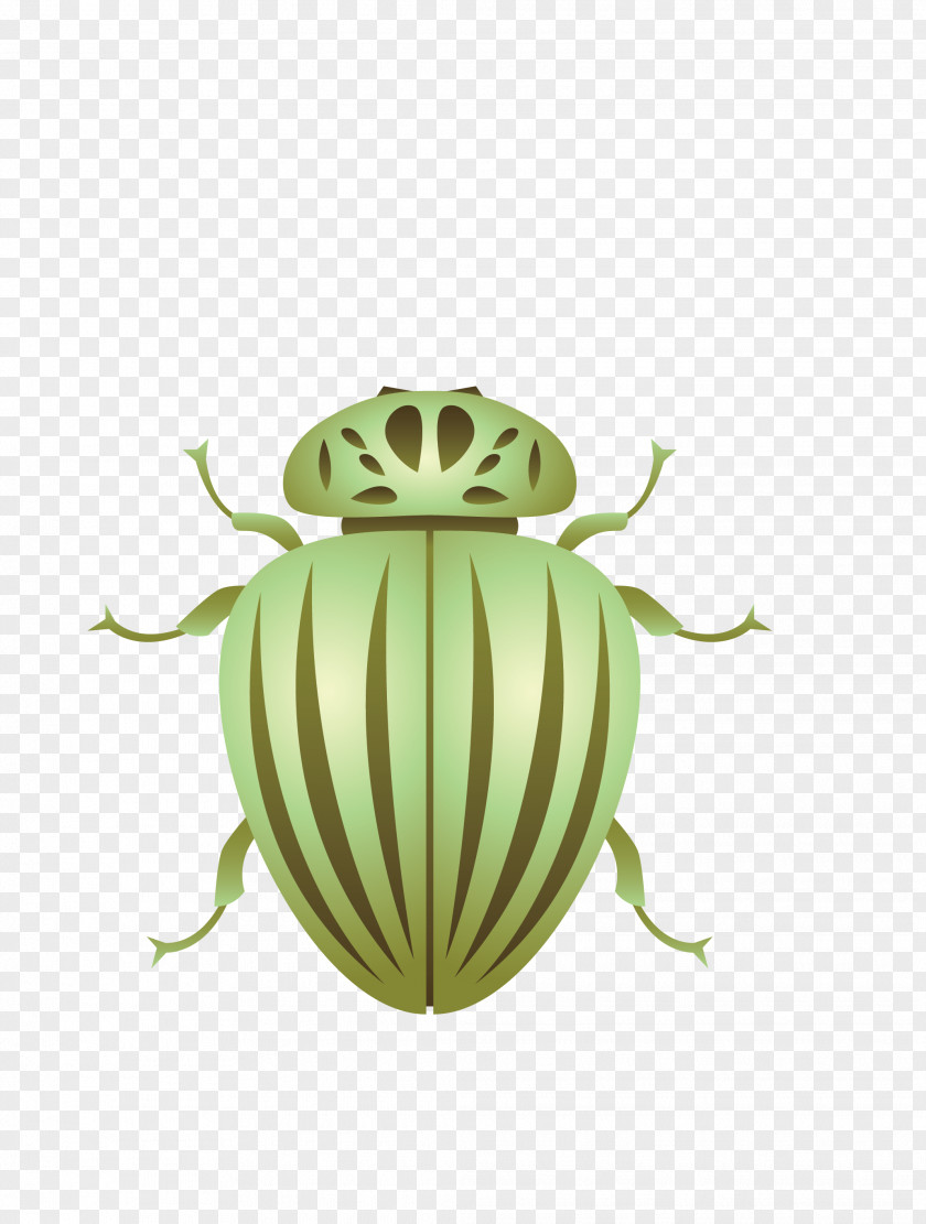 Vector Green Forest Insects Beetle Mosquito Cockroach PNG
