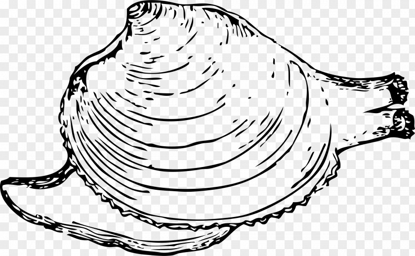 Cones Hard Clam Oyster Coloring Book Clip Art PNG