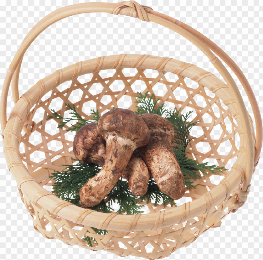 Mushroom Basket Matsutake Vegetable PNG