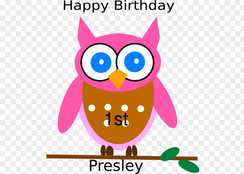 Pink Owl Beak Birthday Party Clip Art PNG
