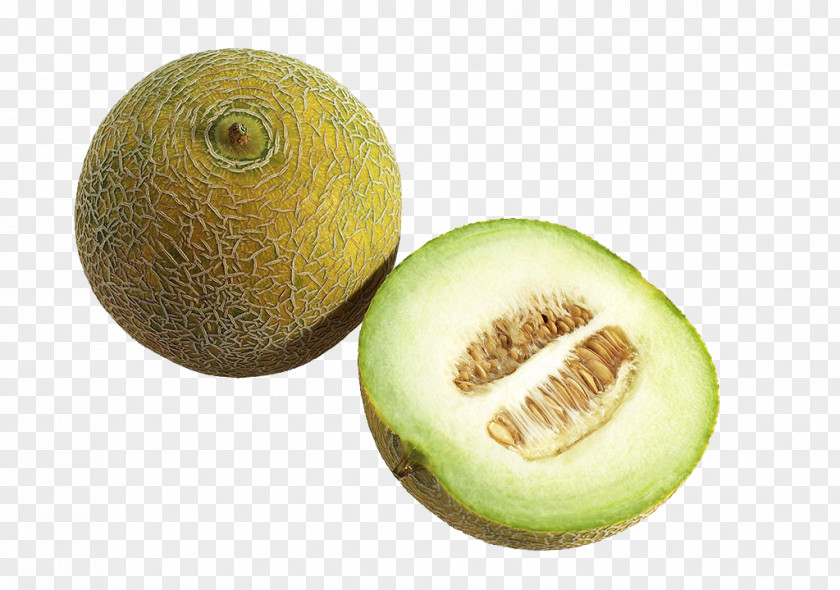 Sweet Melon Honeydew Cantaloupe Canary Hami Galia PNG