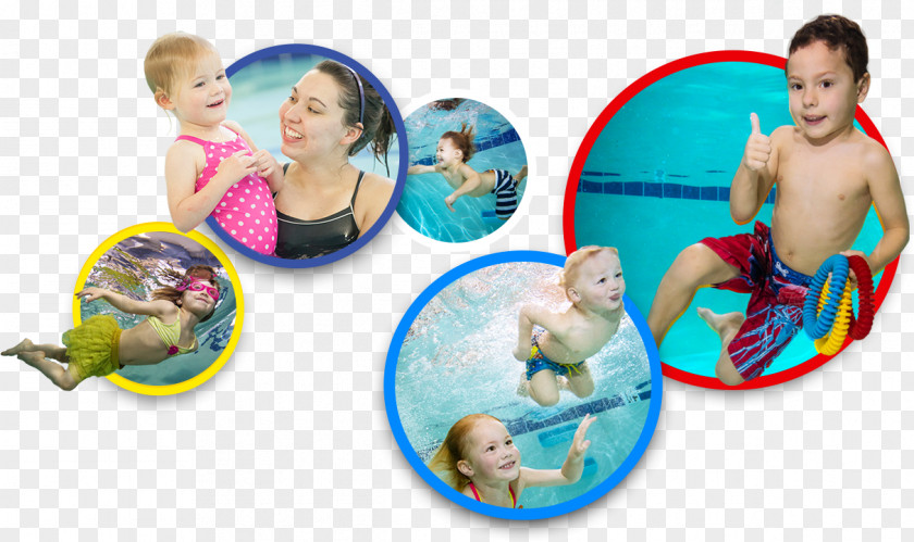 Swimming Competiton Lessons Infant All Star Swim Academy Child PNG
