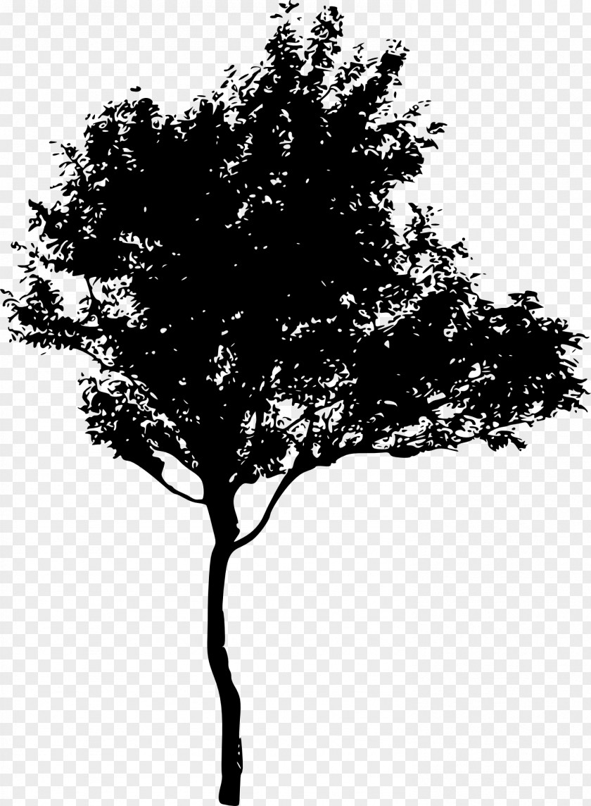 Tree Silhouette Drawing PNG