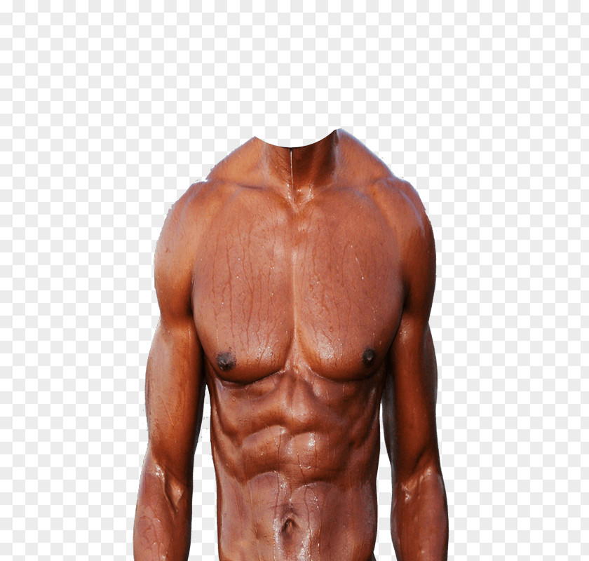 Collage Rectus Abdominis Muscle Photomontage Abdomen Photography PNG
