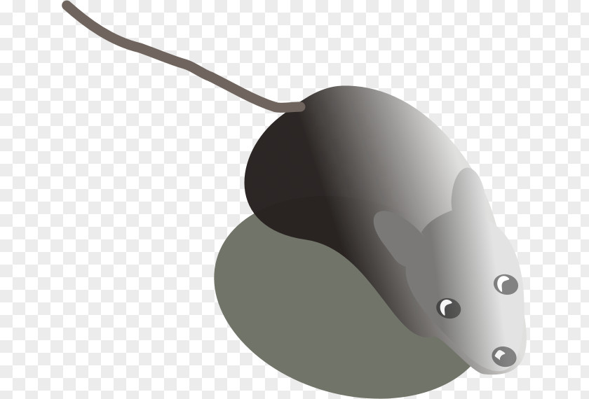 Computer Mouse User Interface PNG