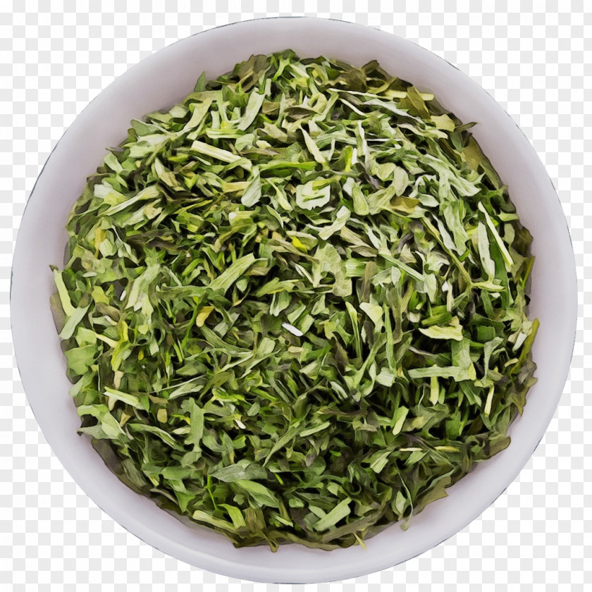 Sencha Nilgiri Tea Gyokuro Vegetarian Cuisine Vegetarianism PNG