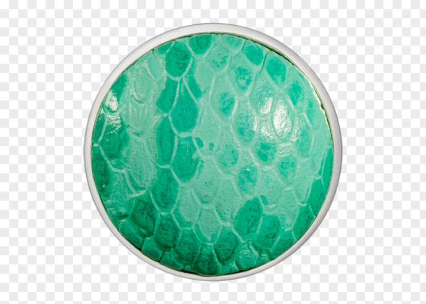 Silver Green Snake Turquoise Coin PNG