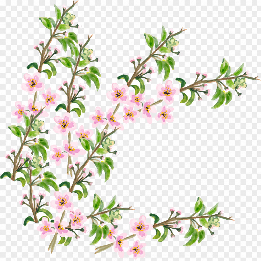 Vector Hand Painted Pink Flower Branch Cherry Blossom PNG