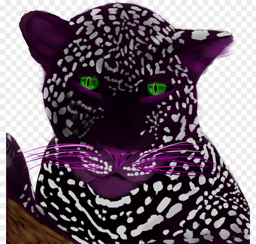 Cat Big Whiskers Snout PNG