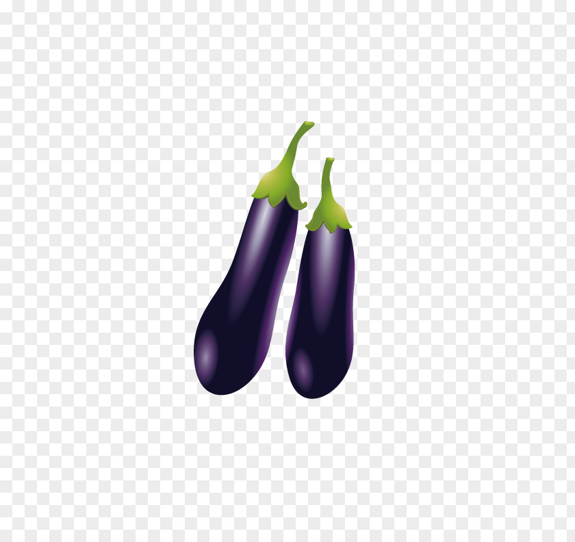 Fresh Eggplant Vegetable PNG