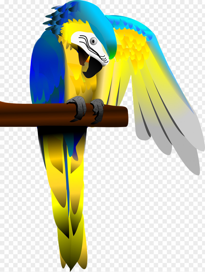 Parrot Bird Heron Blue-and-yellow Macaw PNG