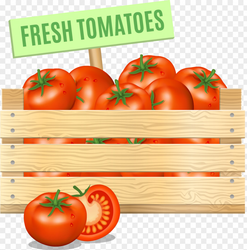Tomato Vegetable Vegetarian Cuisine Food PNG