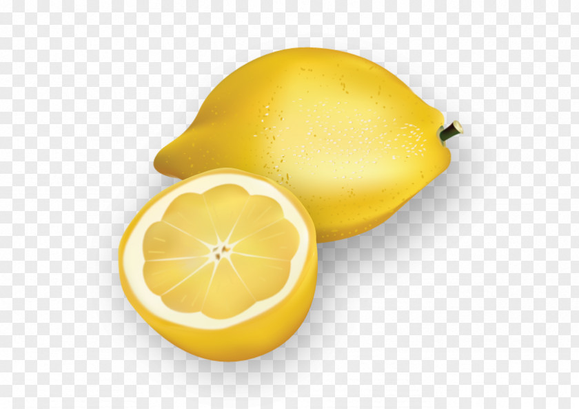 Vector Lemon Euclidean Download Illustration PNG