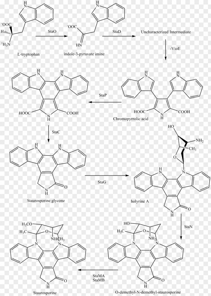 Chemical Synthesis Staurosporine Midostaurin Chemistry Semisynthesis PNG