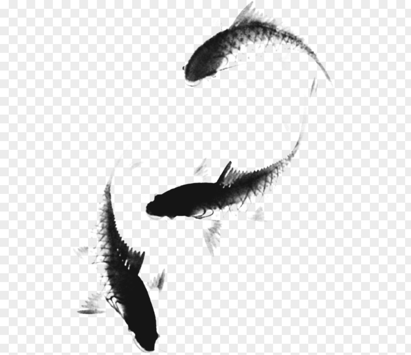 Fish Chinese Painting Black And White PNG