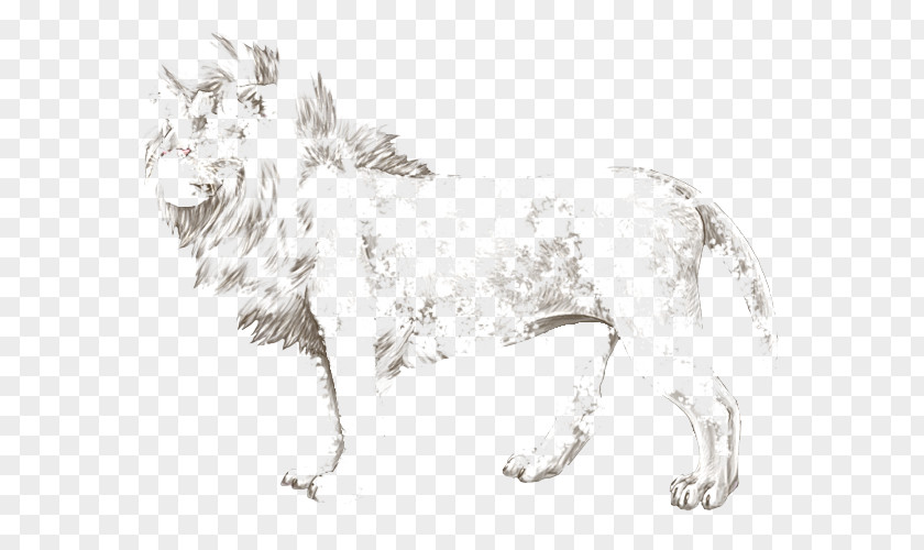 Lion Cat Dog Breed Leopard PNG
