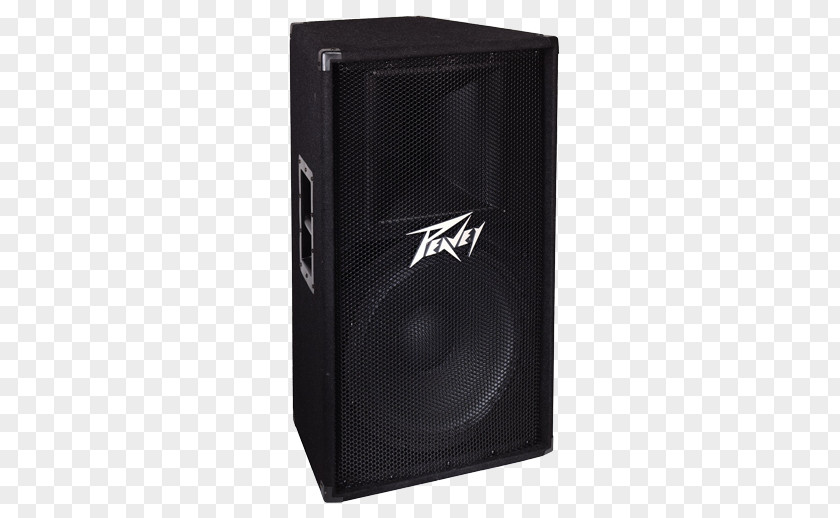 Peavey Speakers PV 115 Loudspeaker Enclosure 215 PV115 2-Way 15 Inch Speaker Cabinet PNG