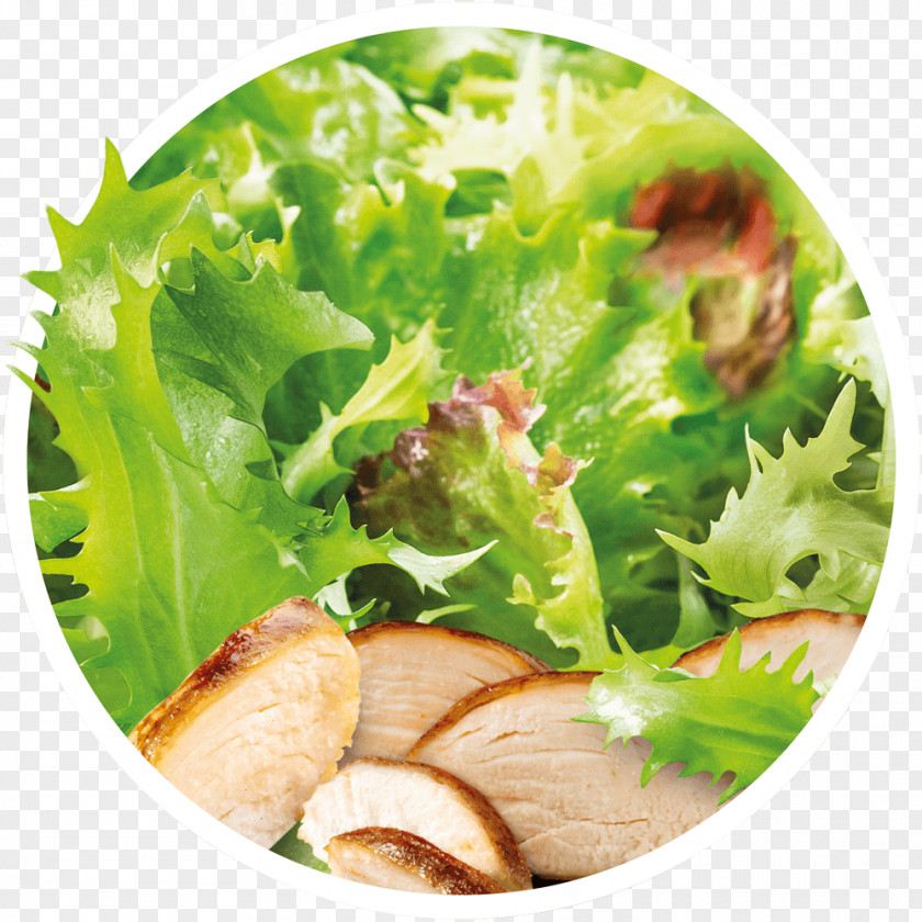 Salad Caesar Lettuce Vinaigrette Crudités Vegetarian Cuisine PNG