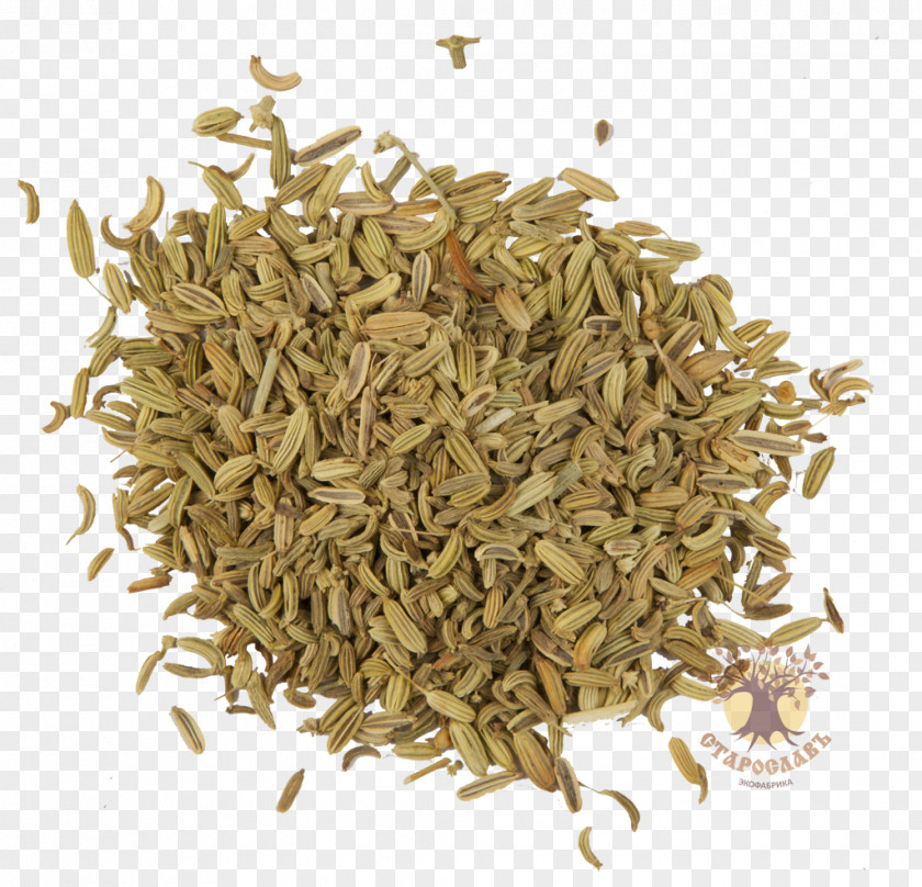 Tea Earl Grey Hōjicha Caraway Spice PNG