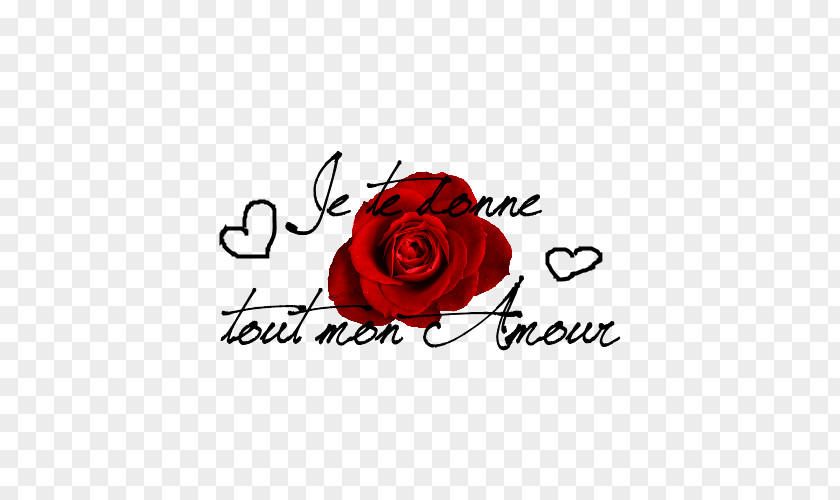 Wordart Kuangshuai Love Valentine's Day Greeting & Note Cards Garden Roses Skyrock PNG