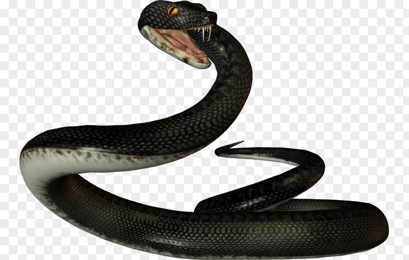 Anaconda Snake Reptile Vipers Clip Art PNG