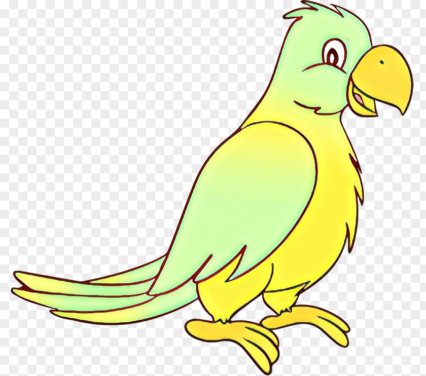 Budgerigar Parrot Macaw Parakeet Bird PNG