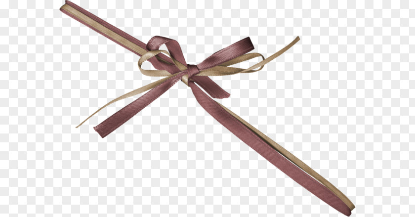 Gift Ribbon PNG