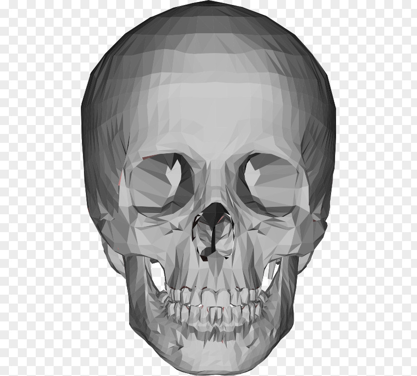 Skulls Skull Head Bone Clip Art PNG