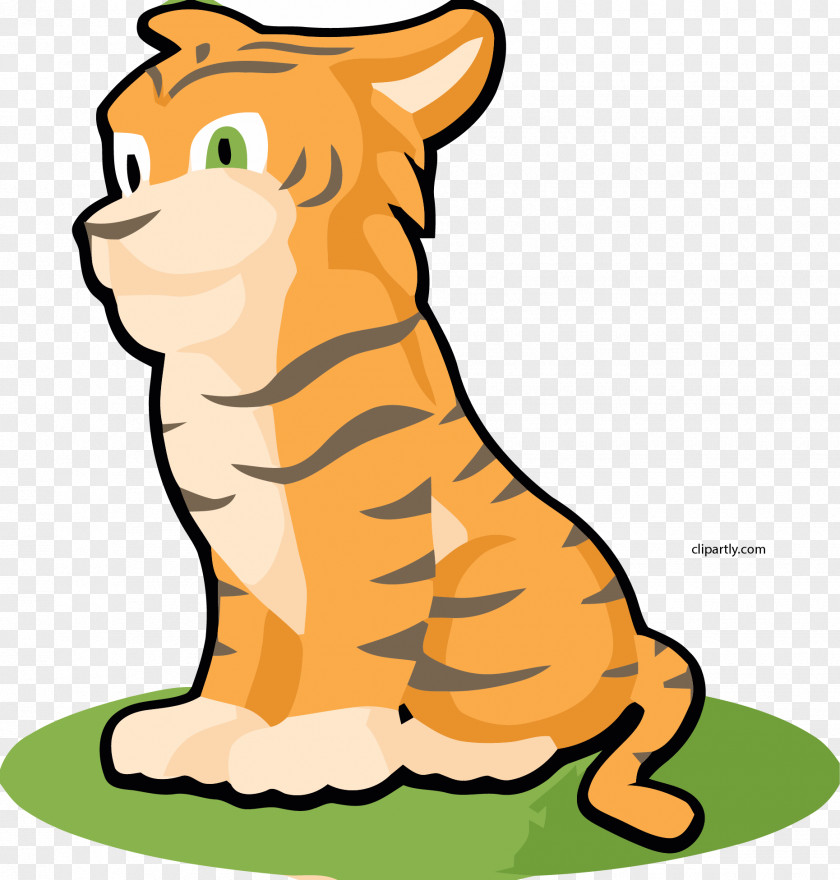Tiger Clip Art Whiskers Illustration PNG
