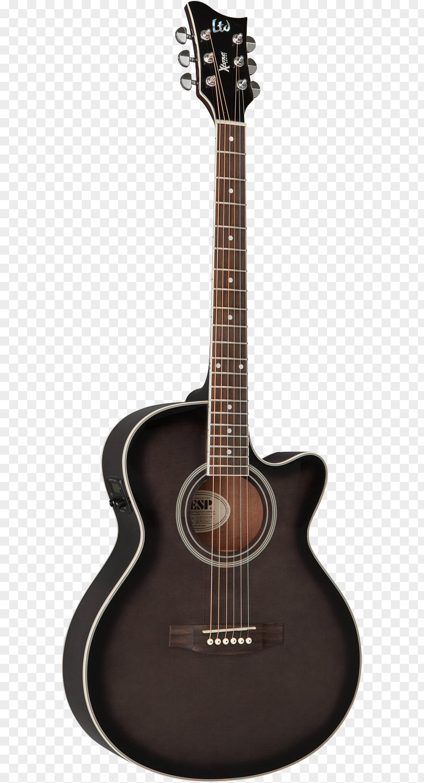 Acoustic Guitar Twelve-string Taylor Guitars C. F. Martin & Company Acoustic-electric Cutaway PNG