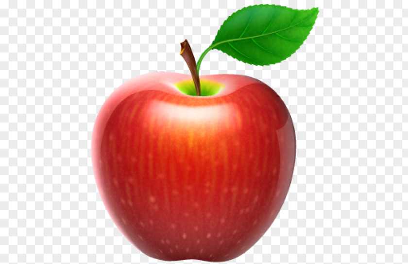 Apple Fruit Clip Art PNG