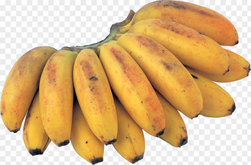 Banana Saba Tropical Fruit Food PNG