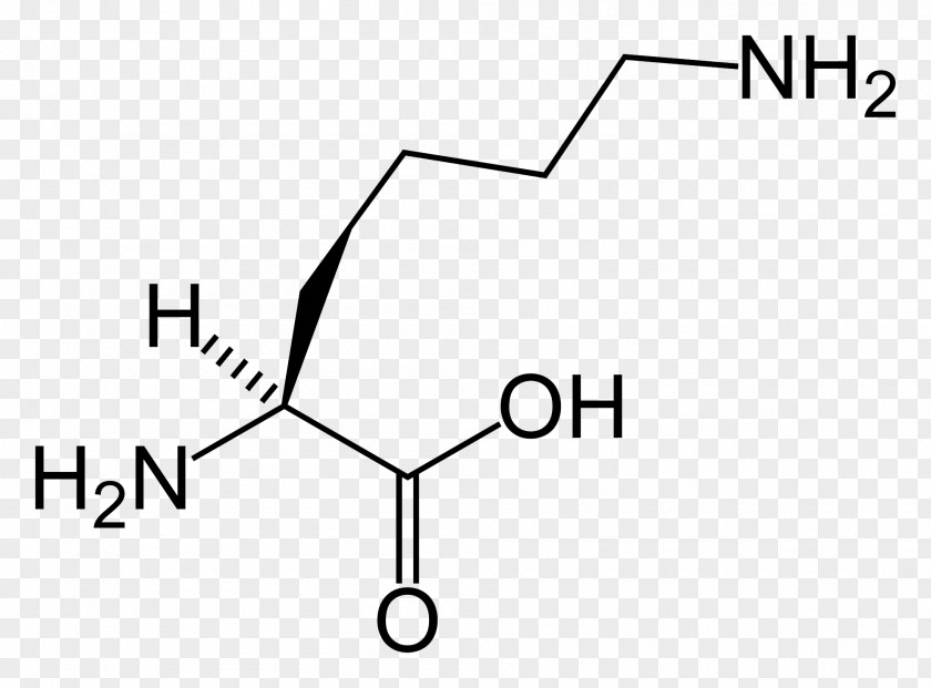 Cartilage Maple Syrup Urine Disease Leucine Tyrosinemia PNG