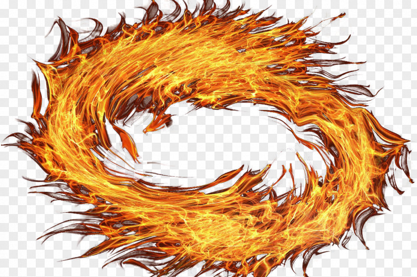 Fire PNG