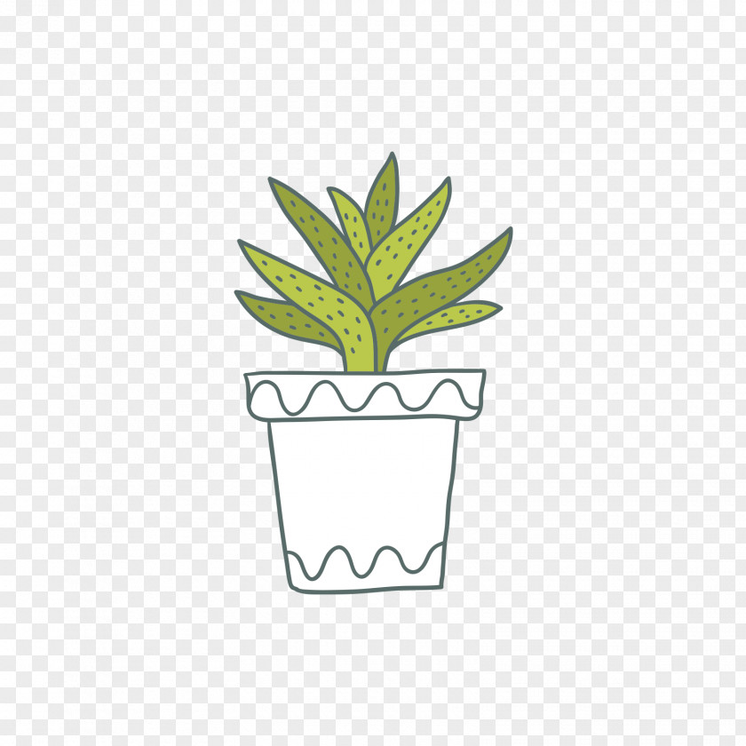 Green Aloe Cactaceae Bonsai PNG