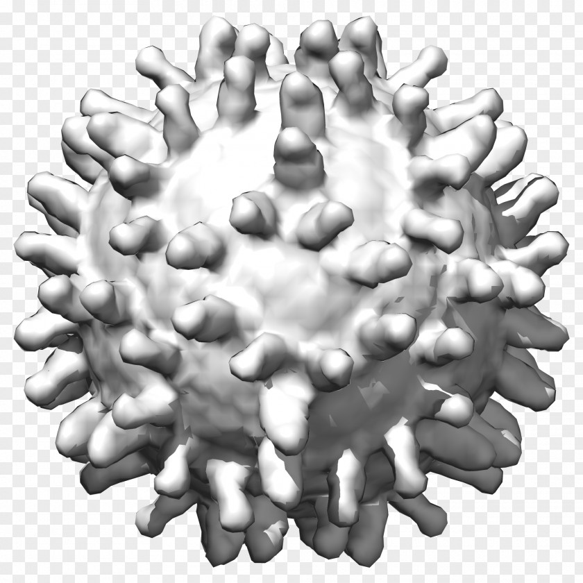 Human Papillomavirus Infection West Nile Fever Hepatitis C Virus Disease PNG