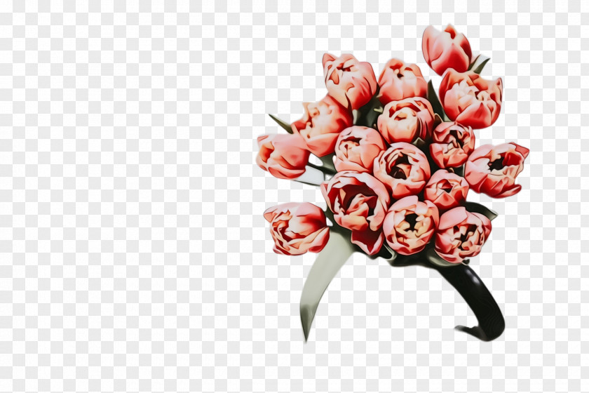Lily Family Bud Floral Spring Flowers PNG