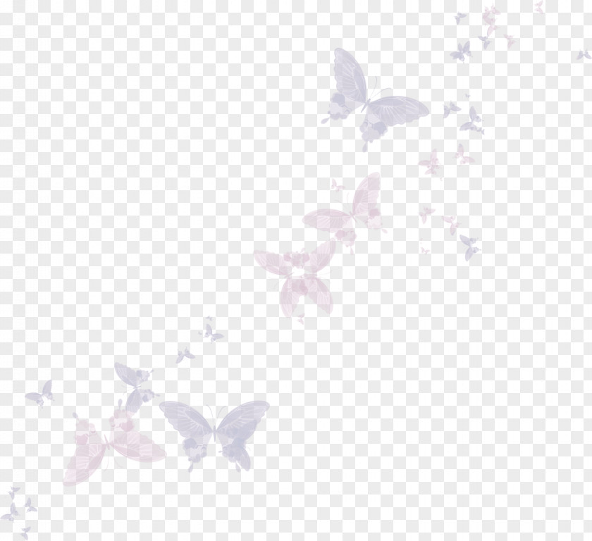 Pink Butterfly Insect Pollinator Lilac Wallpaper PNG
