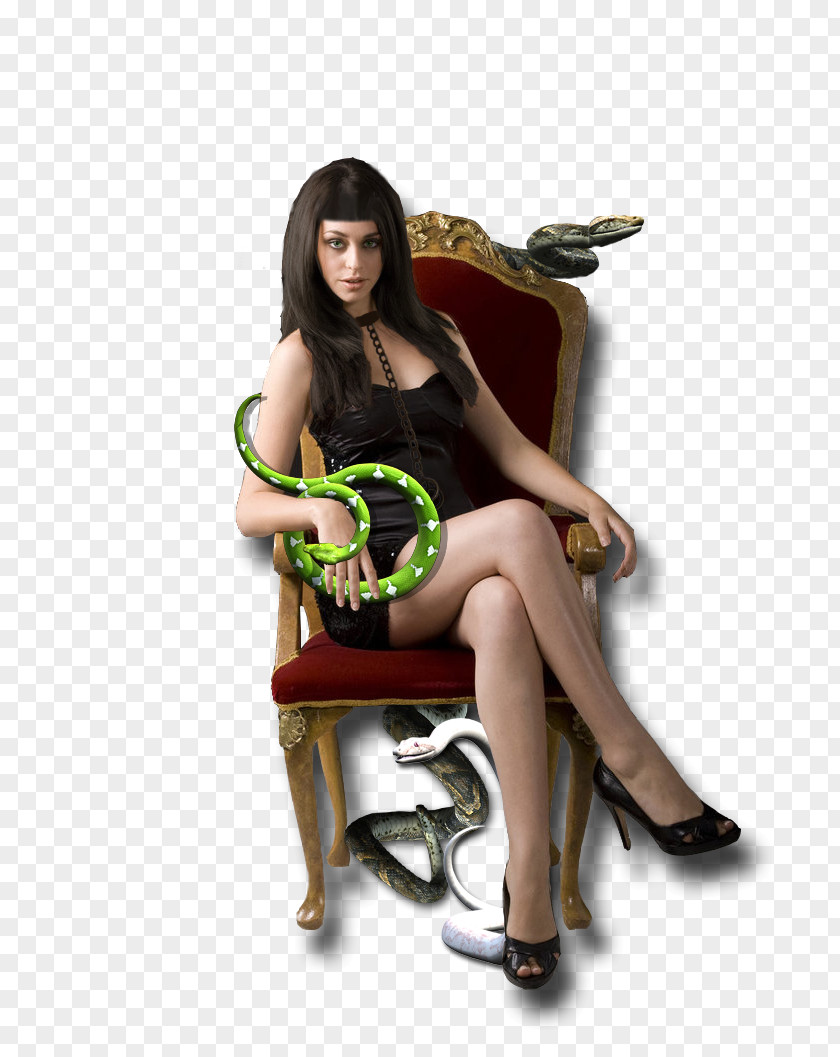Queen Snake Shoe Photo Shoot Photography PNG